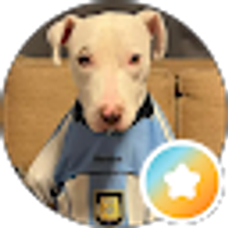 Profile photo of Gabriel Llinas