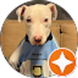 Profile photo of Gabriel Llinas