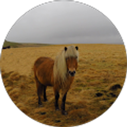 Profile photo of Joe Monma