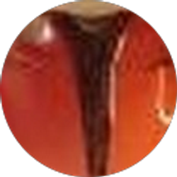 Profile photo of Brent McMillen