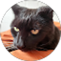 Profile photo of Mary