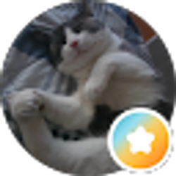 Profile photo of Alex desnoyers