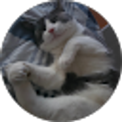 Profile photo of Alex desnoyers