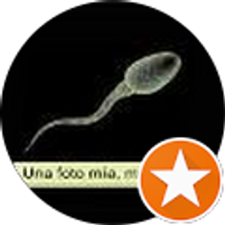 Profile photo of Webitush Mansius