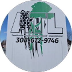 Profile photo of Travis Allen