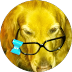 Profile photo of Lee Waters