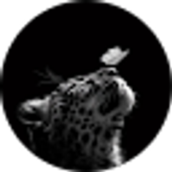 Profile photo of Pinto pinto