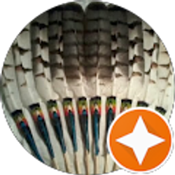 Profile photo of Tony Clark