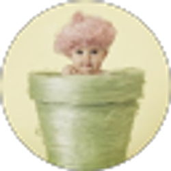 Profile photo of BH24