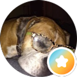 Profile photo of Bernice Goldsmith