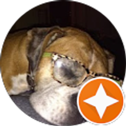 Profile photo of Bernice Goldsmith