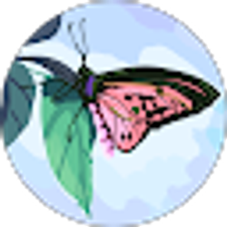 Profile photo of Beth Penloza
