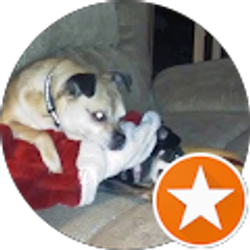 Profile photo of Darla Creel