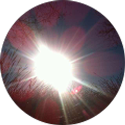 Profile photo of Terry Wan