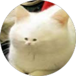 Profile photo of Ginnel Zhang