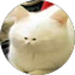 Profile photo of Ginnel Zhang