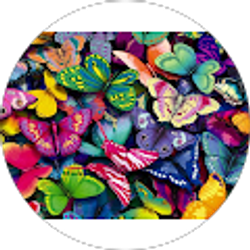 Profile photo of Paulina Colombo