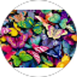 Profile photo of Paulina Colombo