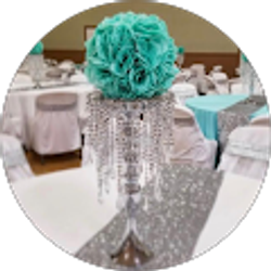 Profile photo of Tiana F