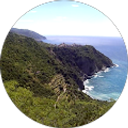 Profile photo of Andrew L