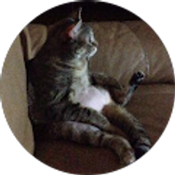 Profile photo of Joe M