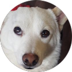 Profile photo of Jen Hamilton