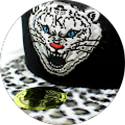 Profile photo of Miguel Aca