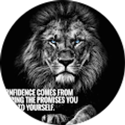 Profile photo of Victor Rocha