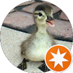 Profile photo of Randy Baughn