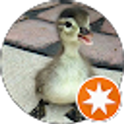 Profile photo of Randy Baughn