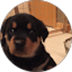 Profile photo of David Denure