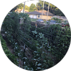 Profile photo of Ken-an-Duah Urban Homestead