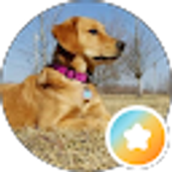 Profile photo of Scott Redner