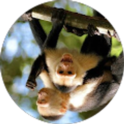 Profile photo of Bob White