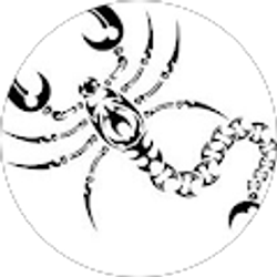 Profile photo of Ali Captin