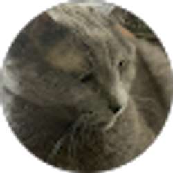 Profile photo of adeline jane