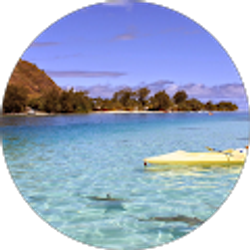 Profile photo of Alex J