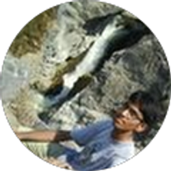 Profile photo of Aijazuddin Mohammad