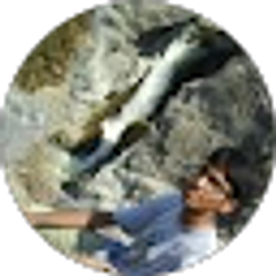 Profile photo of Aijazuddin Mohammad