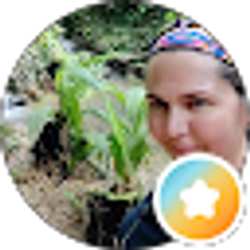 Profile photo of Chris Sita