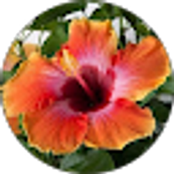 Profile photo of Michele Wanie