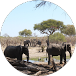 Profile photo of Zhong Geng