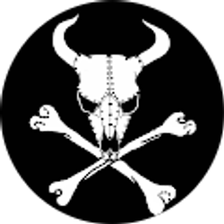 Profile photo of Captain Robert IronBull