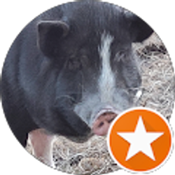 Profile photo of Yvonne Eckles