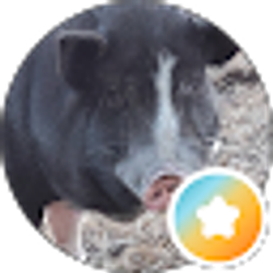 Profile photo of Yvonne Eckles