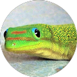 Profile photo of Doug Keown