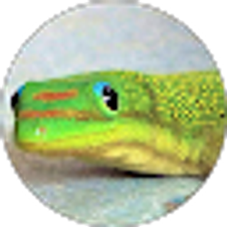 Profile photo of Doug Keown