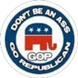 Profile photo of Matt Larson