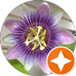 Profile photo of heather steinle