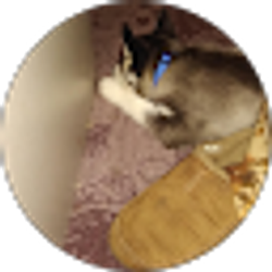 Profile photo of Lanea Montez